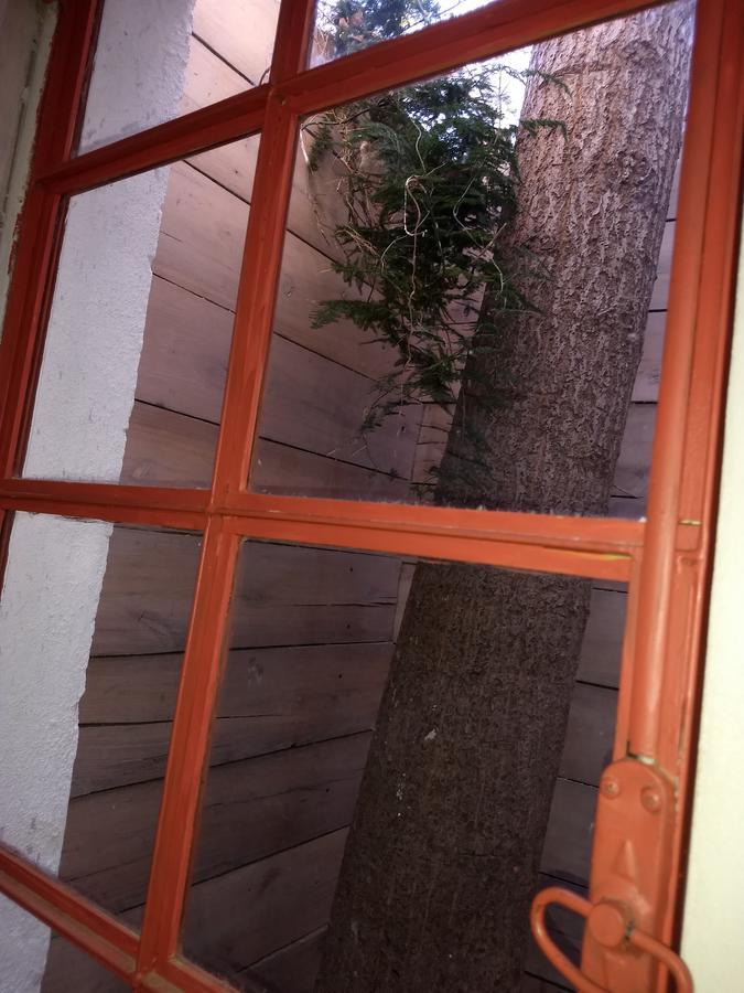 Apartamento El Tamarisco Puerto Pirámides Exterior foto
